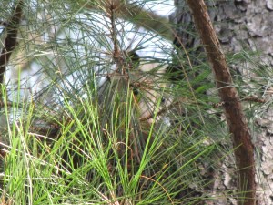 ???????????????????????????????