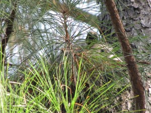 ???????????????????????????????