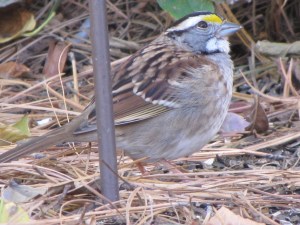 ???????????????????????????????