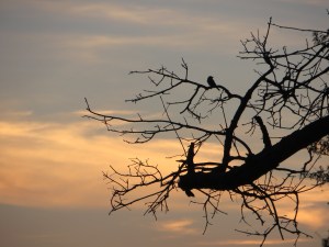 ???????????????????????????????