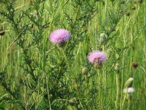 ???????????????????????????????