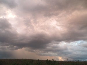 ???????????????????????????????