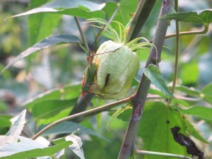 ???????????????????????????????