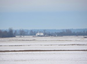 IMG_5450_looking across the fieldb