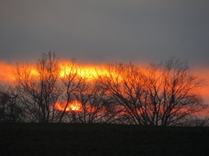 ???????????????????????????????