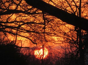 IMG_9302_sun sinking low2