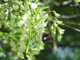 ???????????????????????????????