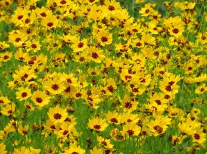 ???????????????????????????????