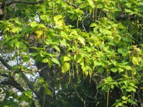 ???????????????????????????????