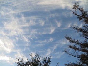 ???????????????????????????????