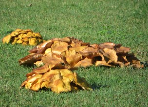 ???????????????????????????????