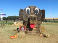 ???????????????????????????????