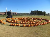 ???????????????????????????????