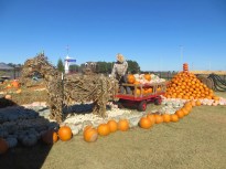 ???????????????????????????????