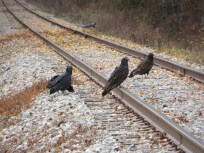 ???????????????????????????????