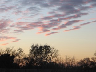 ???????????????????????????????