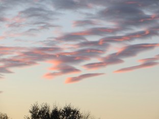 ???????????????????????????????