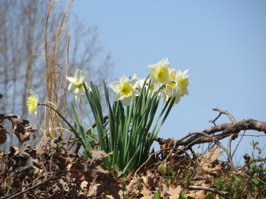 ???????????????????????????????