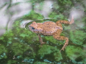 IMG_3409